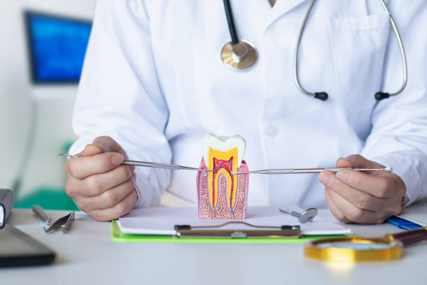 Best Emergency Dentist for Knocked-Out Tooth in New York Mills, NY